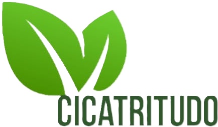 Cicatritudo